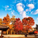 교동 남부마을회관 | 전주 2박 3일 추석 여행 코스 추천: 한복 입고 맛있는 거 다 먹자! 🌕