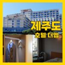더엠호텔 | 제주도 극강의 가성비 호텔 더엠 후기 공영주차장 가격