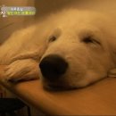 종일농장 이미지