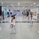 날아라 용인대 태권도장 이미지