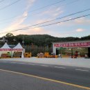 팜5150 이미지