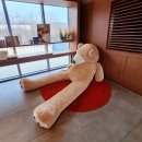 [화성 베이커리카페] 테디스로드 향남점 - 바닐라라떼, 딸기케이크, 명란소금빵, 모카빵
