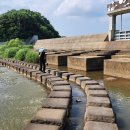 학여울길 이미지