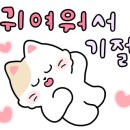 헤어랑스
