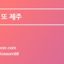 카페촐