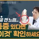 항문 통증을 유발하는 주요 질환 항문거근증후군 치핵 치루 포함 이미지