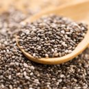 씨드요가 이미지