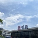 제주 2박3일 여행 3편 - 연돈(웨이팅2시간), 제주 몽탄, 카노푸스카페(씨에스호텔),제주 모알보알카페...