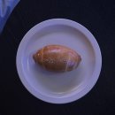 경주 오버랩(Overlap) | 전시회 분위기를 가진 핫플 카페, 소금 빵 맛집