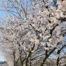 성북2리경로당 네이버블로그