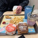 코조 | 3박4일 여행 day1] 태교 여행🤰 나고야 사카에 • 미소카츠 맛집 야바톤 • 현지인 라멘 맛집 라멘 코조