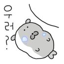 Y Bar(와이바) 이미지