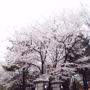 (주)호텔롯데 롯데시티 호텔마포 이미지