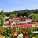 테마파크 이미지