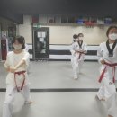 태권도필승도장 | 소방/국가직 공무원 합격의 비법! 무도 단증 가산점은 관악구 금강태권도에서! ✨ (경시모, 해경모 주목!)