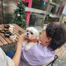 남구종합문화예술회관 | 울산남구분식맛집 남구청,울산문화예술회관근처 은하수식당