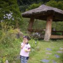 바람아래팜스테이 이미지