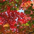 직전마을 이미지