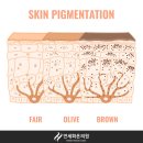 세화의원 이미지