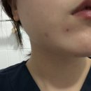 경동동물병원 | 2025년 11월 일상