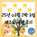 [여행][제주도] 25년 3월에 회사동기랑 둘이서 2박 3일동안 즐기고 온 이거저거 여행 후기(like 일기)