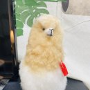 몽브로우
