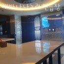 돌고래바나나노래연습장 이미지