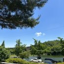 은봉애견 이미지