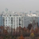 미도 이미지