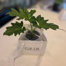 노원-공릉-3182 | 공릉 꽃집 그래시룸 식물가게 개업화분 내돈내산 화분선물 테라리움 원데이클래스