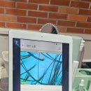 울산 암웨이 두피 테스트 무료 체험 후기