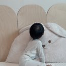 (주)하이얀 이미지