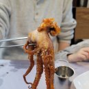 김경자소문난대구왕뽈찜 이미지