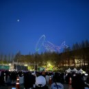 대덕물빛축제 대덕뮤직페스티벌 고래날다 드론쇼불꽃쇼 관람후기