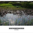 한밭 수목원 - 대전시민의 생명공원... 수목원... 이미지