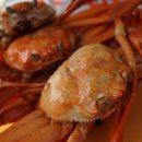 수산고앞 | 경북 울진 대게, 조선 해양일기에 기록된 ‘대가리 큰 게’의 탄생사