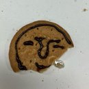 상미어린이공원 | 1학기가 끝났다굽쇼?