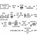 &lt;마케팅 설계자&gt; 발제 18~20챕터 feat. 10X 실행독서모임