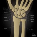 마디척한의원 이미지