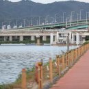 하천(유등천(4) 이미지