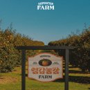 AI 책 추천 기획 디자인 아이디어 서적 영감농장 제철영감 이로운 AI