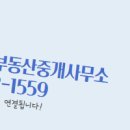 스타부동산중개사무소 이미지