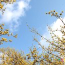 남원다슬기탕 이미지