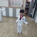 송도 경희대 태권도 이미지