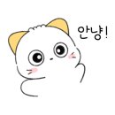 반려담애견유치원 이미지