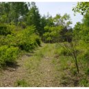 초대2리 이미지