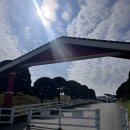 상영목장 | 벨포레목장 | 먹이체험,양몰이공연,디노시네마,목장놀이터까지 너무 알차다.