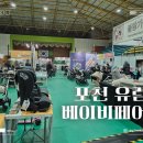 포천종합체육관 | 포천 유람 베이비페어 방문 후기