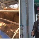 종필농장 이미지