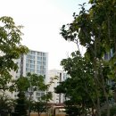 장량동 다솜 이미지